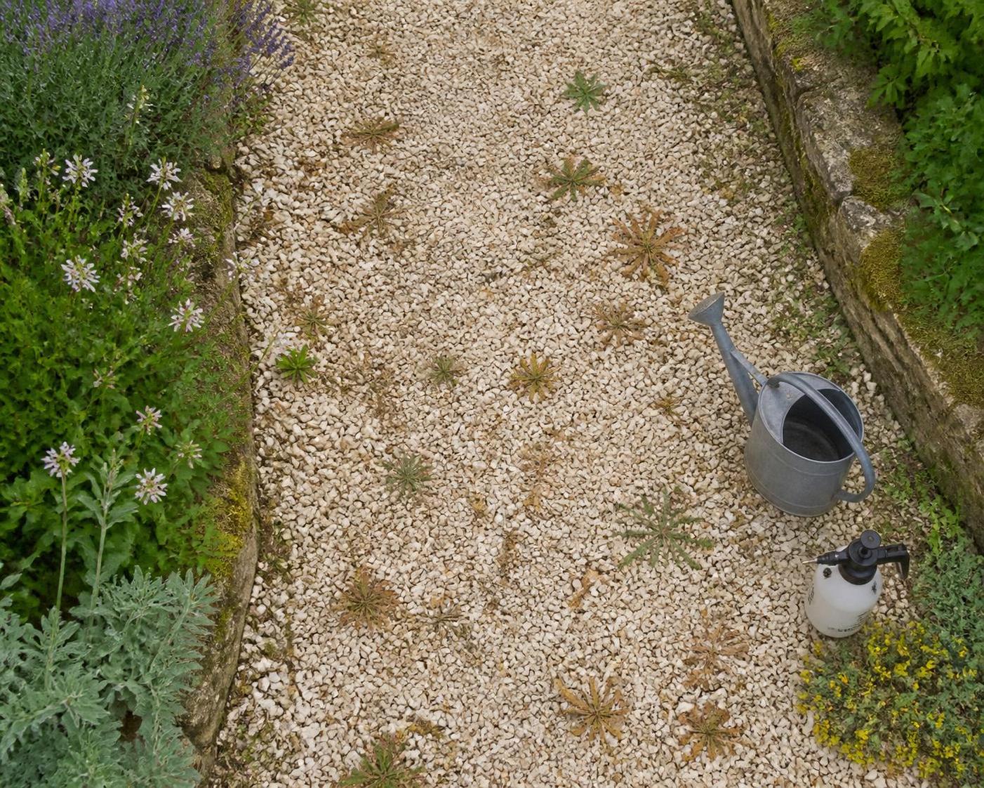 découvrez comment utiliser un désherbant naturel à base de vinaigre et de sel pour éliminer efficacement les mauvaises herbes de votre jardin tout en respectant l'environnement.