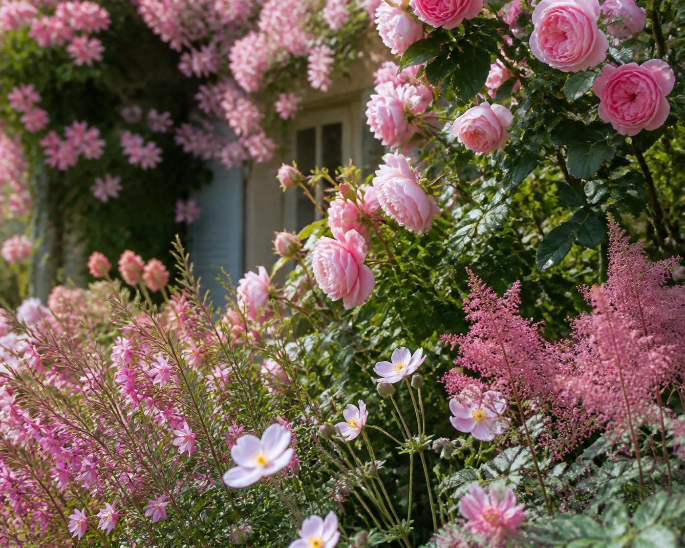 découvrez comment choisir et entretenir vos fleurs roses préférées pour embellir votre jardin avec des variétés éclatantes et durables.