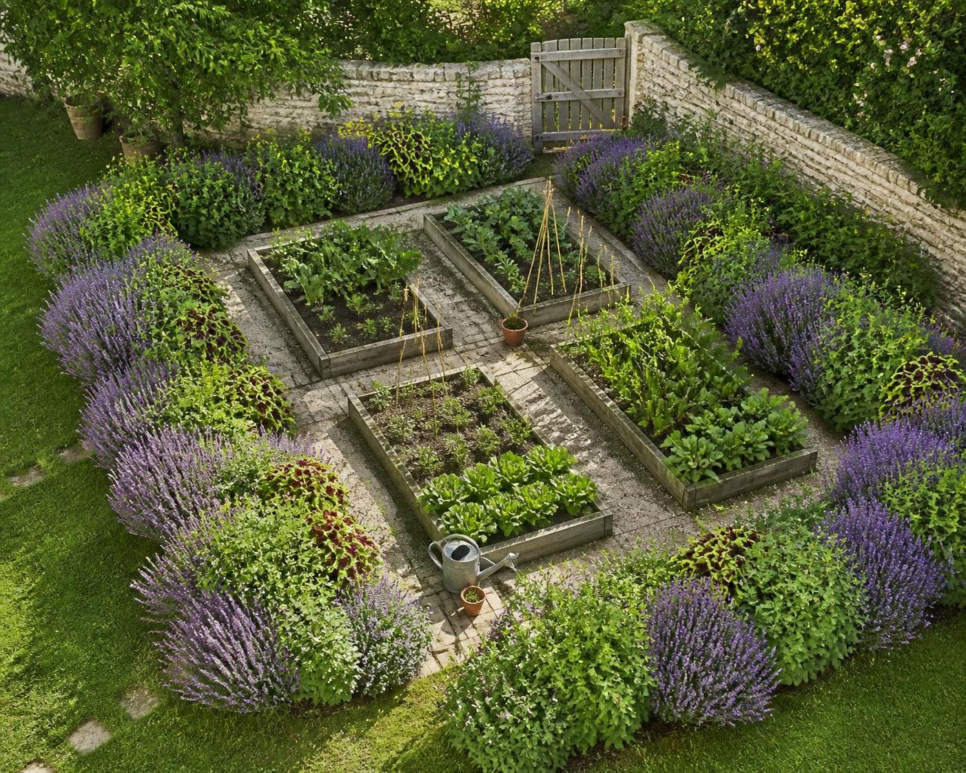 découvrez le coleus canina, la plante anti-chat naturelle et efficace. apprenez comment elle protège votre jardin des chats indésirables grâce à ses propriétés répulsives uniques.