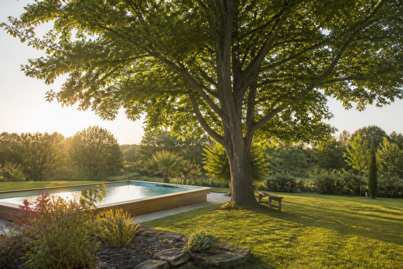 découvrez tout sur le frêne, un arbre majestueux : ses caractéristiques, son habitat, sa croissance et son importance écologique.