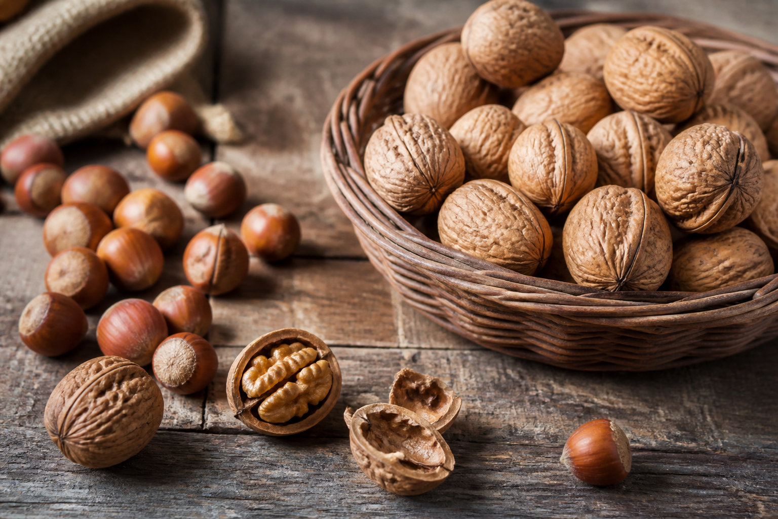 Noix et Noisettes : les oléagineux indispensables
